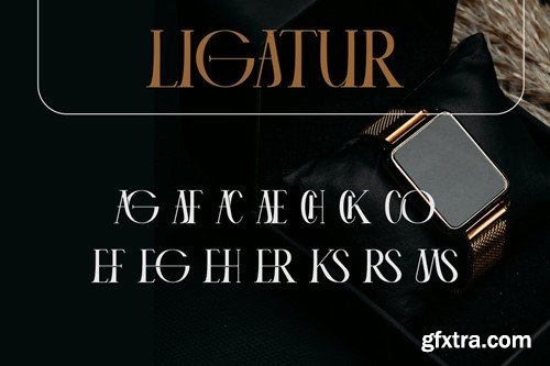 VEGER - Modern Elegant Font 2D8PL5V