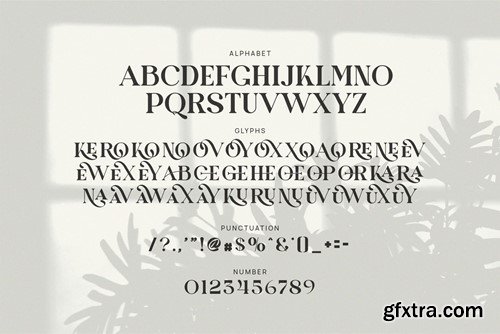 Roske Orkes Elegant Serif Font Typeface BR2QJ5K