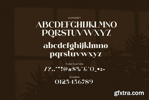 Quit Regise Elegant Serif Font Typeface R2PH88J