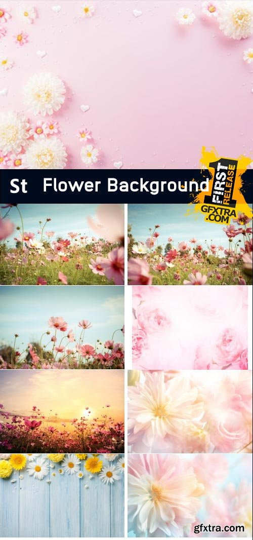 Amazing Photos, Flower Background 100xJPEG Amazing Photos, Flower Background 100xJPEG