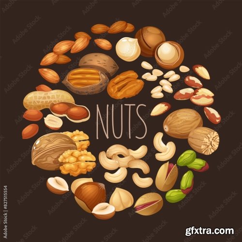 Vector Seamless Pattern With Nuts Collection 6xAI