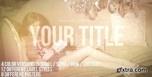 Videohive Vintage Label Poster 6220242