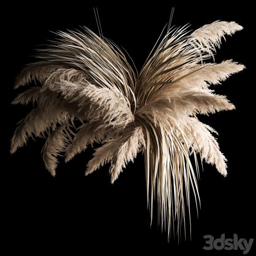 Hanging bouquet of dry reeds and pampas grass for decoration and interior. 266.