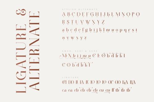 Valleny Serif Font