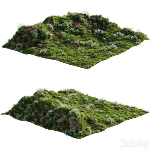 Grass on the slope