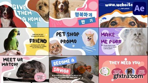 Videohive Pet Shop Promo for After Effects 52490710 Videohive Pet Shop Promo for After Effects 52490710