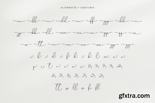 Andrew Britton - Wedding Script Font 9ULFHJC Andrew Britton - Wedding Script Font 9ULFHJC