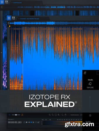 Groove3 iZotope RX Explained