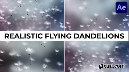 Videohive Realistic Flying Dandelions for After Effects 52661156 Videohive Realistic Flying Dandelions for After Effects 52661156