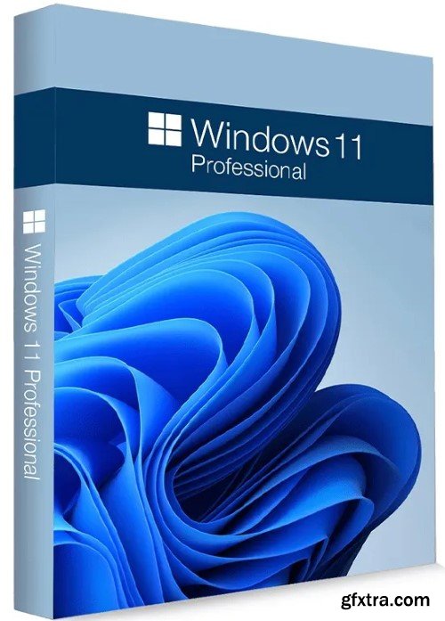 Windows 11 Pro 24H2 Build 26100.2894