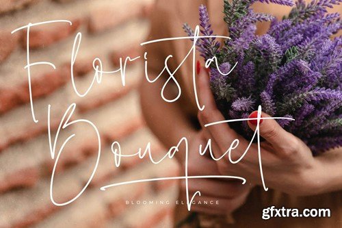 Sillento Nighters Script Font 34RM54T