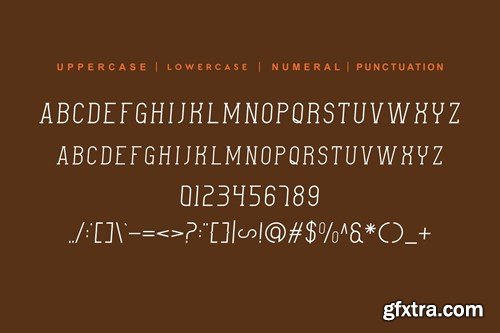 Withdoing - Slab Serif Font 5KKWTX9