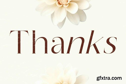 Quorina Modern Serif Font WH7HYKA