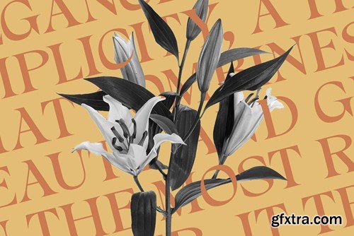 Alvinus – Elegant Font 2SVUYQB