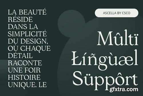 Ascella – Modern Font T6MGU4W