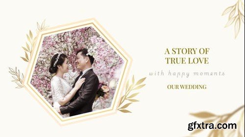 Videohive Our Wedding 53204050 Videohive Our Wedding 53204050