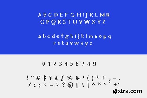 Reacty - Handwritten Font 62A435Y