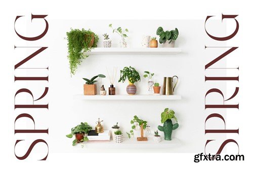 Hamster Modern Serif Font 24GPXQD