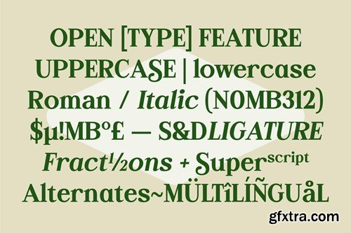 Monagi – Retro Golf Serif Font UCFAETN Monagi – Retro Golf Serif Font UCFAETN