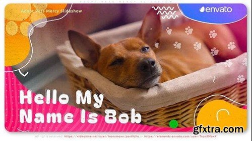 Videohive Adopt Pets Mercy Slideshow 53448521 Videohive Adopt Pets Mercy Slideshow 53448521