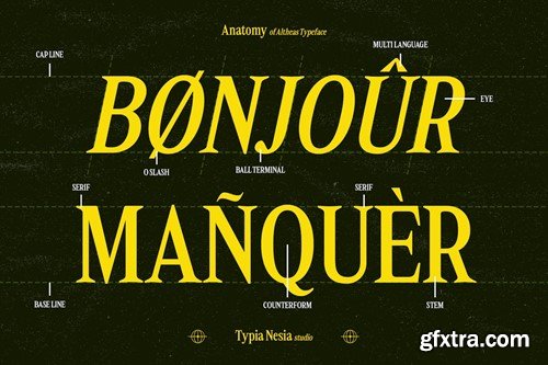 Altheas - Regular and Italic Retro 90s Serif Font LZQJG8F Altheas - Regular and Italic Retro 90s Serif Font LZQJG8F