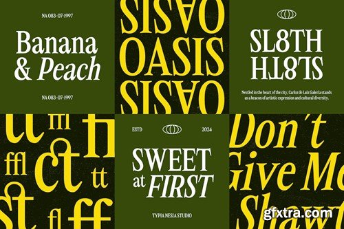 Altheas - Regular and Italic Retro 90s Serif Font LZQJG8F Altheas - Regular and Italic Retro 90s Serif Font LZQJG8F