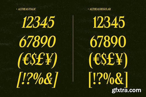 Altheas - Regular and Italic Retro 90s Serif Font LZQJG8F Altheas - Regular and Italic Retro 90s Serif Font LZQJG8F