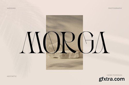 Basheq Vintage - Modern Serif Logo Font LP4P34F