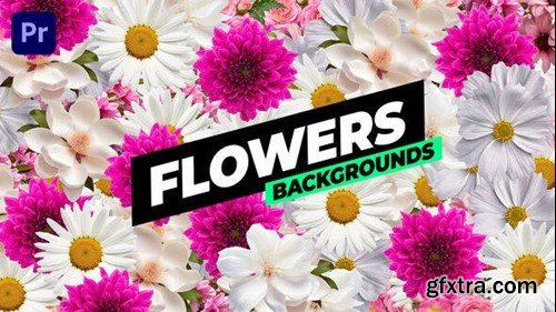 Videohive Flowers Backgrounds 53769761 Videohive Flowers Backgrounds 53769761