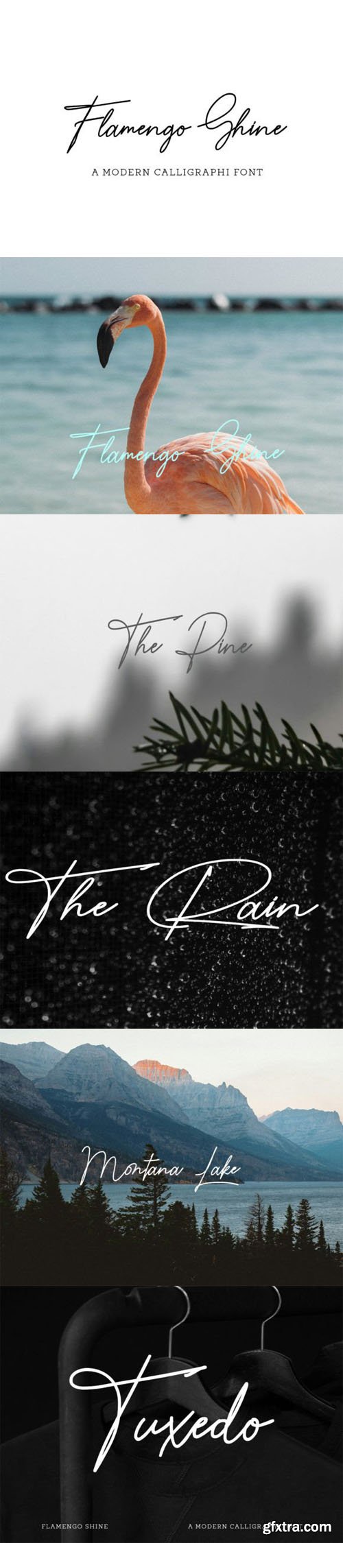 Flamengoshine - Modern Calligraphy Font Flamengoshine - Modern Calligraphy Font