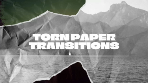 Torn Paper Transitions - 53750003