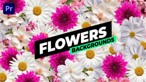 Flowers Backgrounds - 53769761