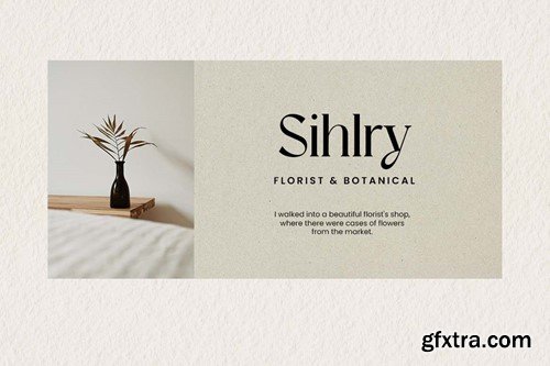 Dominance Retro Modern Serif Font VGL2399 Dominance Retro Modern Serif Font VGL2399