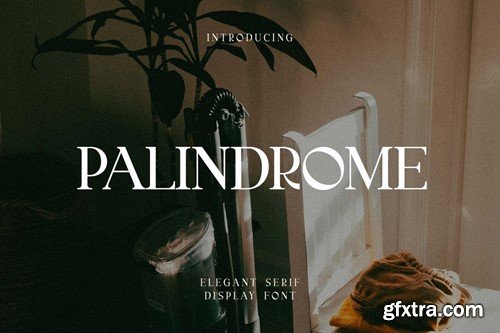 Palindrome Elegant Serif Display Font YAD6A3Q