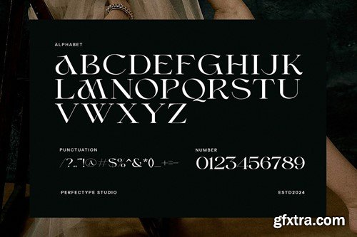 Marko Elegant Serif Font MC8YNVM Marko Elegant Serif Font MC8YNVM