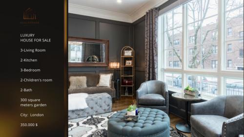 Luxury Real Estate - 53617036