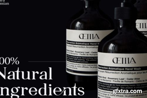 Ellara Domian Font Ellara Domian Font