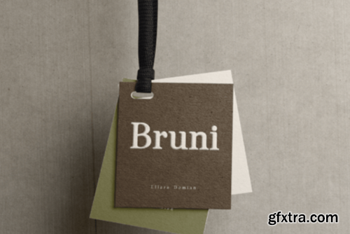 Ellara Domian Font Ellara Domian Font