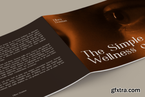 Ellara Domian Font Ellara Domian Font