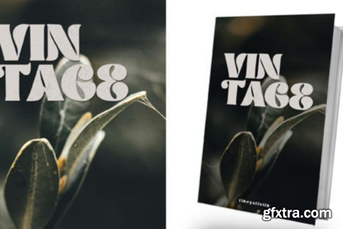 Vocity Font Vocity Font