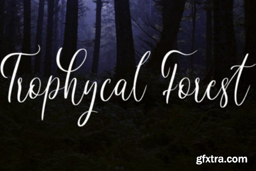 Starlight Cascade Font Starlight Cascade Font