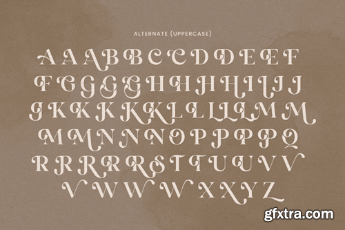 Mirado - Luxury Exclusive Serif Font U8TZKWK Mirado - Luxury Exclusive Serif Font U8TZKWK