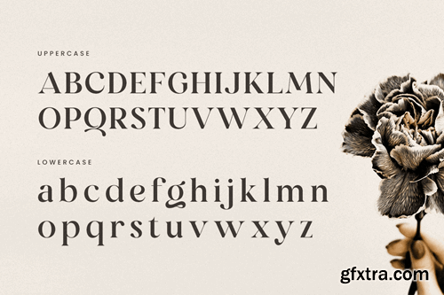 Mirado - Luxury Exclusive Serif Font U8TZKWK Mirado - Luxury Exclusive Serif Font U8TZKWK