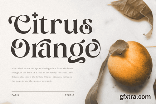 Mirado - Luxury Exclusive Serif Font U8TZKWK Mirado - Luxury Exclusive Serif Font U8TZKWK