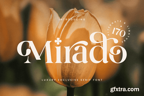 Mirado - Luxury Exclusive Serif Font U8TZKWK Mirado - Luxury Exclusive Serif Font U8TZKWK