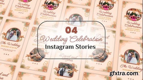 Videohive Wedding Celebration Instagram Stories 54326044 Videohive Wedding Celebration Instagram Stories 54326044