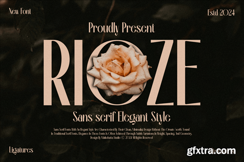 Rioze - Sans serif Elegant Font 4WX6FGD Rioze - Sans serif Elegant Font 4WX6FGD