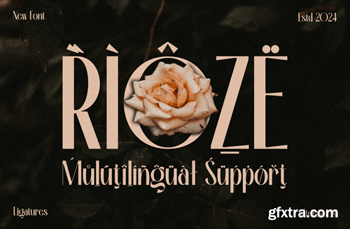 Rioze - Sans serif Elegant Font 4WX6FGD Rioze - Sans serif Elegant Font 4WX6FGD