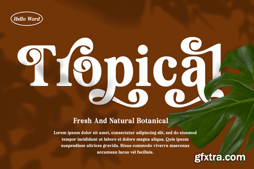 Beauty Rainira - Serif Display Font EALZ4Z4 Beauty Rainira - Serif Display Font EALZ4Z4