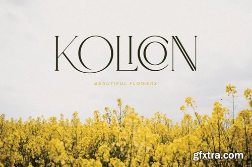 Moaro Beautiful Serif Font EB95EBF Moaro Beautiful Serif Font EB95EBF